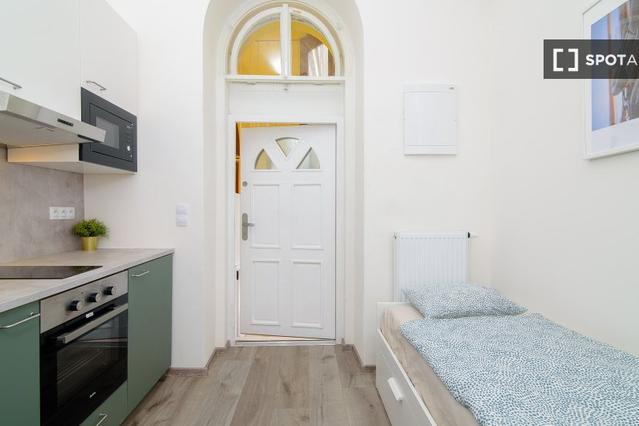 Studio for rent in Prague