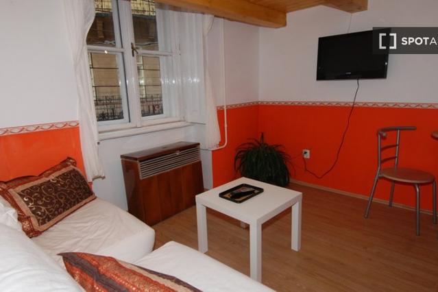 Studio for rent in Budapest