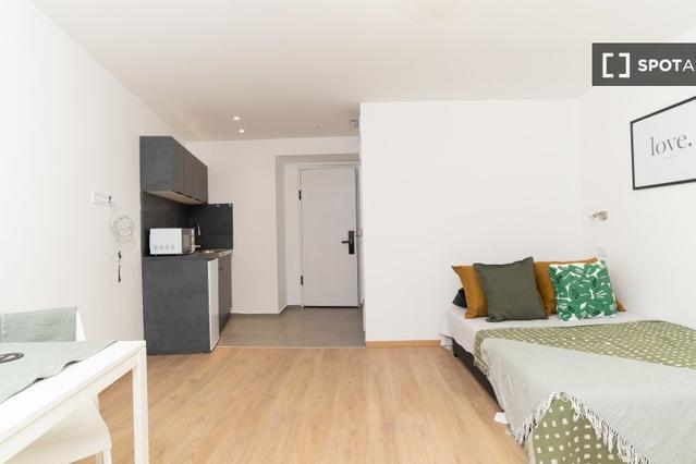 Studio for rent in Budapest, Hungary