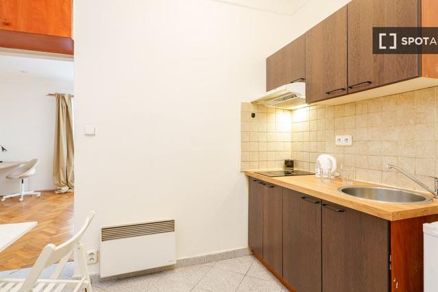 Studio for rent in Prague