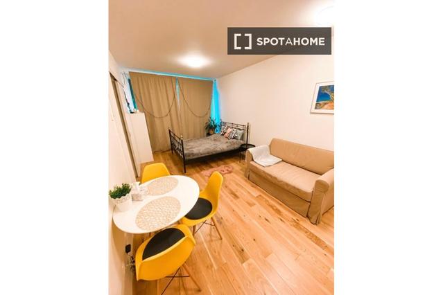Studio for rent in Prague