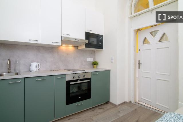 Studio for rent in Prague