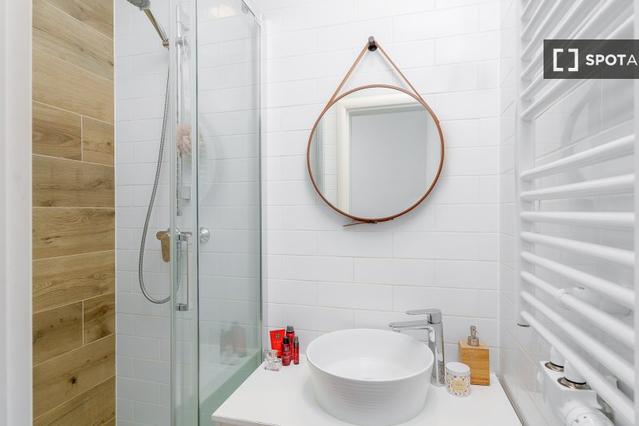 Studio for rent in Prague