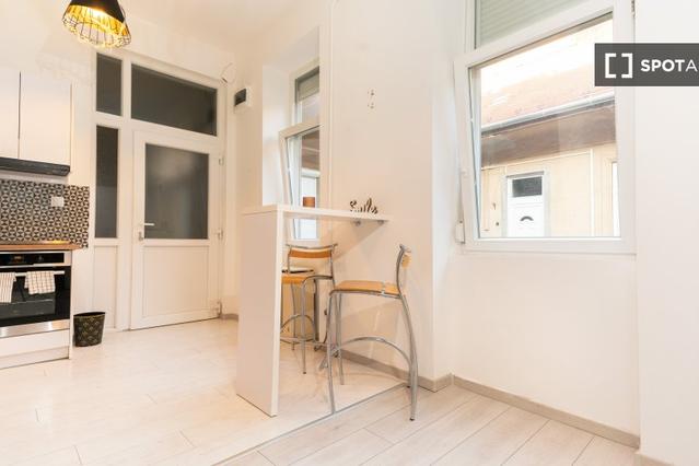 Studio for rent in Budapest