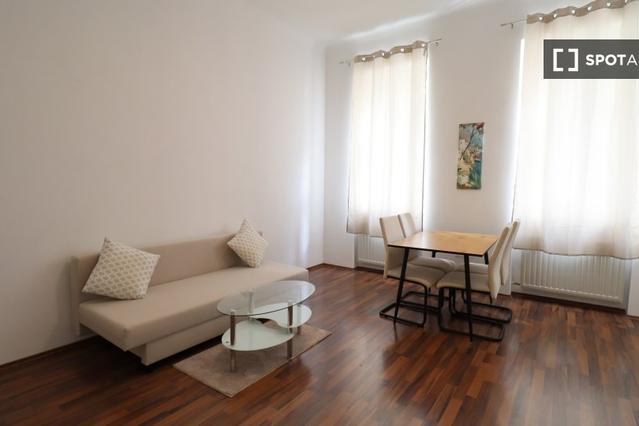 Studio for rent in Vienna, Austria