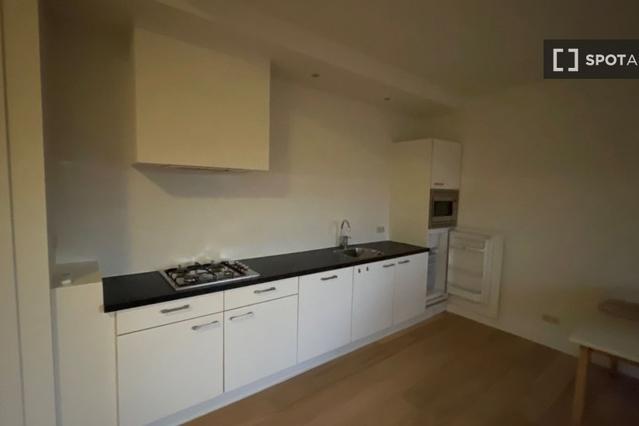 1-bedroom apartment for rent in Haarlem