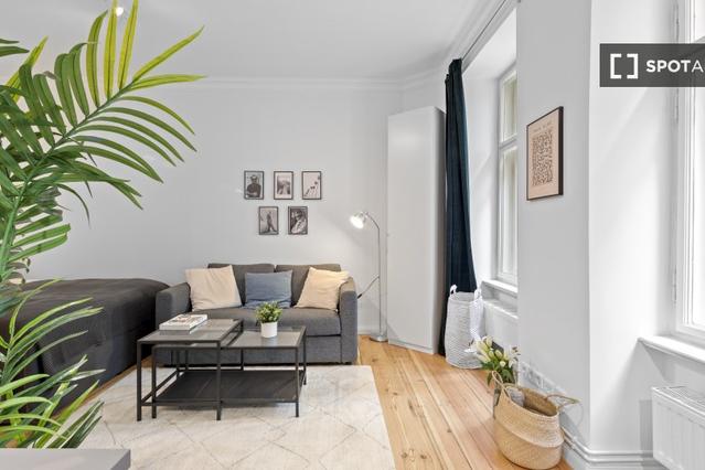 Studio for rent in Berlin