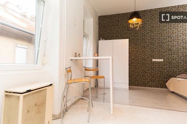 Studio for rent in Budapest