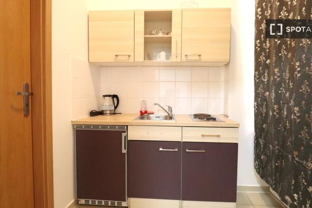 Studio in Schönbrunner Str.