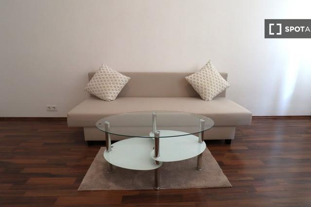 Studio for rent in Vienna, Austria
