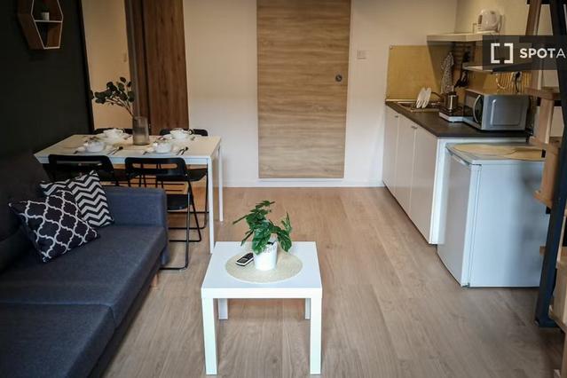 Studio for rent in Budapest