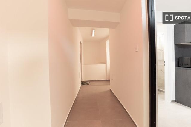 Studio for rent in Budapest