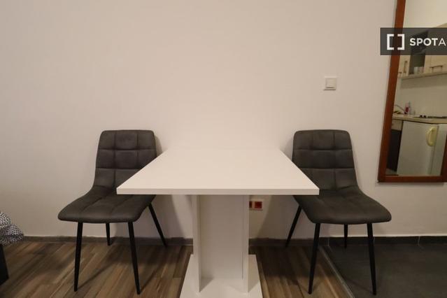 Studio in Schönbrunner Str.