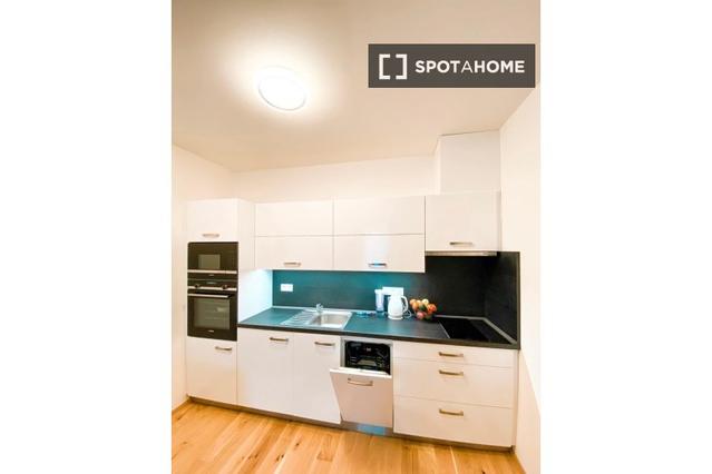 Studio for rent in Prague