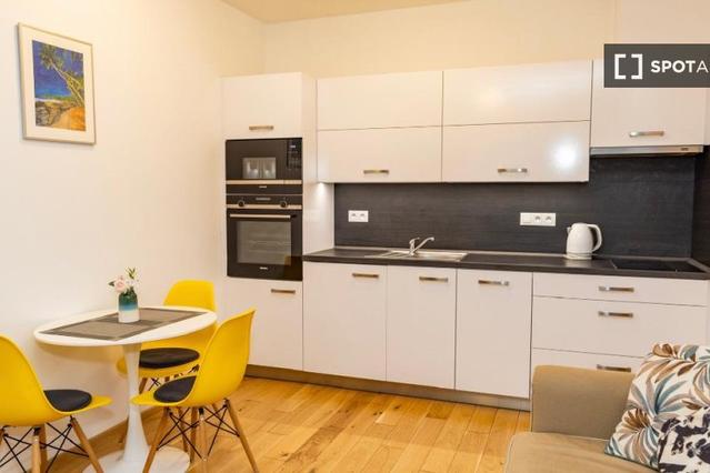 Studio for rent in Prague