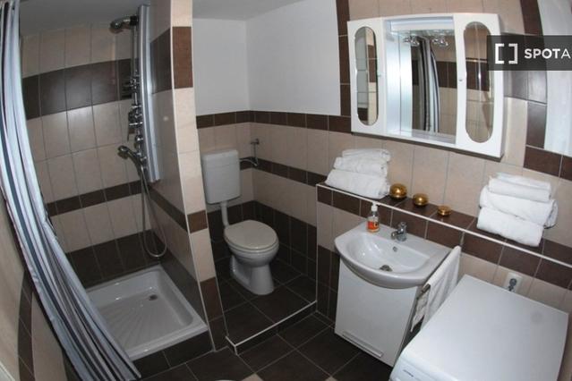 Studio for rent in Budapest