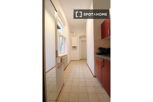 Studio for rent in Vienna