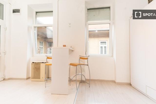 Studio for rent in Budapest