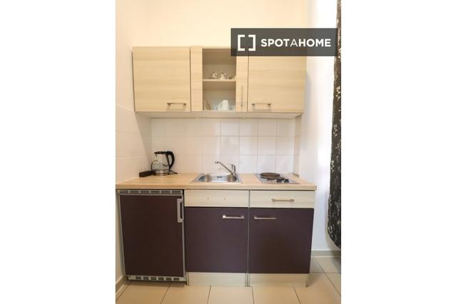 Studio in Schönbrunner Str.