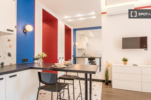 Studio for rent in Budapest