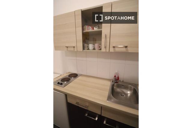 Studio in Schönbrunner Str.