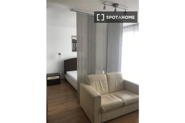 Studio for rent in Budapest