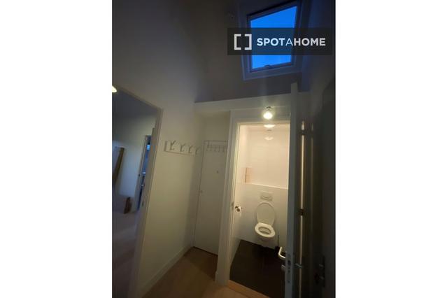 1-bedroom apartment for rent in Haarlem
