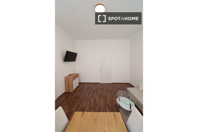 Studio for rent in Vienna, Austria