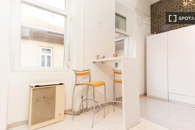 Studio for rent in Budapest