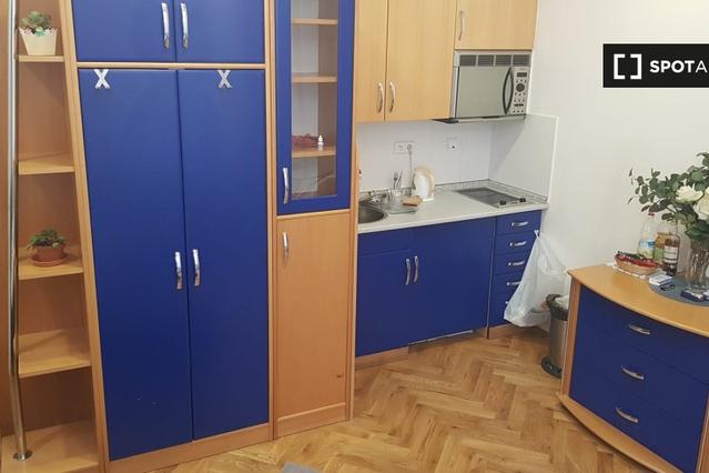 Studio for rent in Prague