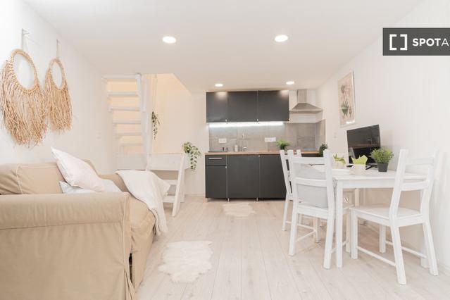 Studio for rent in Budapest.