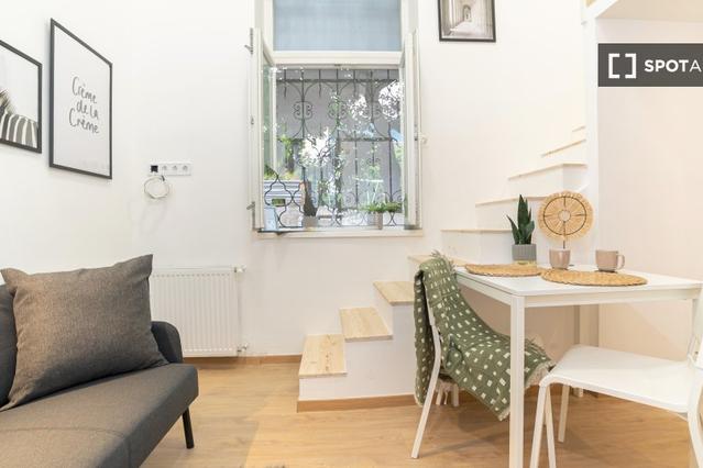 Studio for rent in Budapest