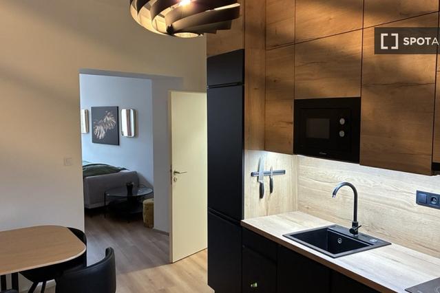 Studio for rent in Prague