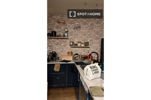 2-bedroom apartment for rent in Leidsebuurt, Haarlem