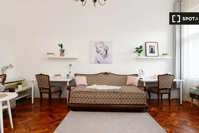 Studio for rent in Budapest
