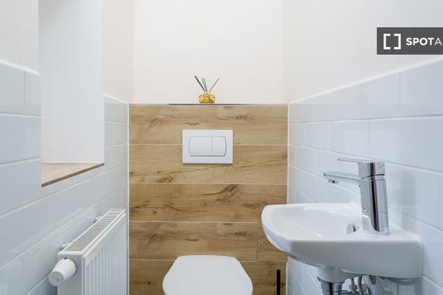 Studio for rent in Prague